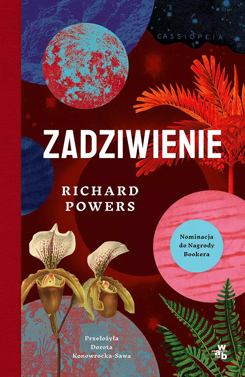 Zadziwienie - Książki