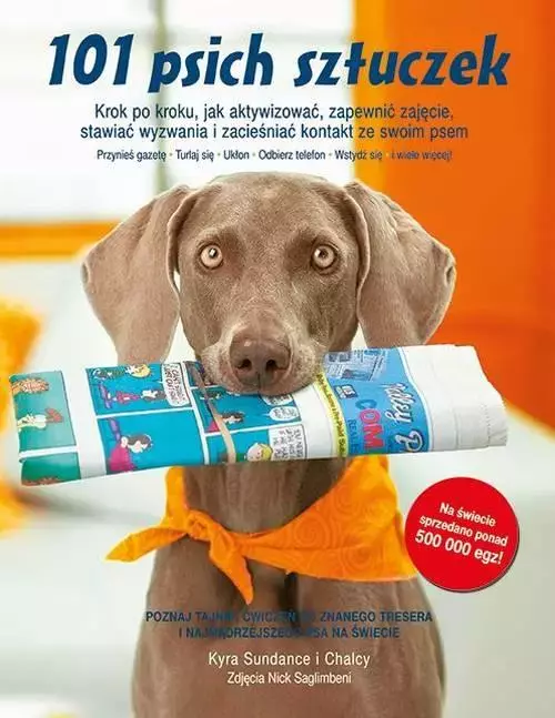 101 psich sztuczek. Krok po kroku, jak aktywizować, zapewnić zajęcie, stawiać wyzwania i zacieśniać kontakt ze swoim psem - Książki