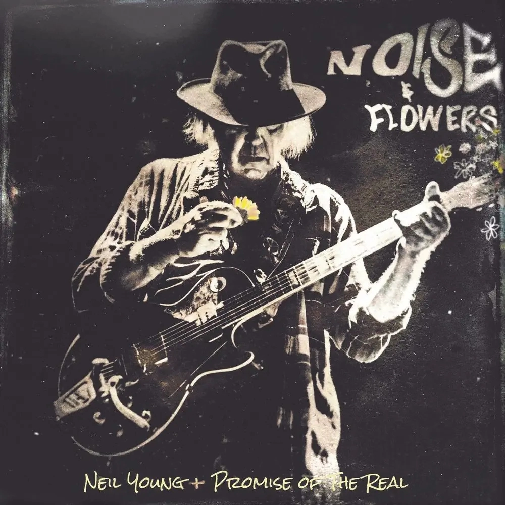 Noise and Flowers, Winyl - Muzyka