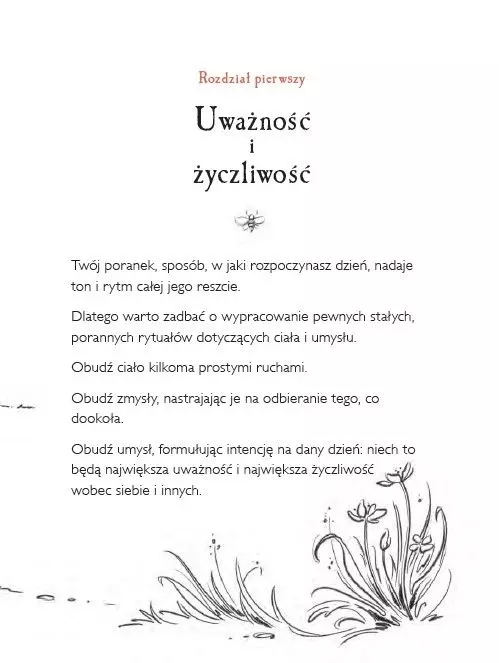 Spacer po lesie. Kubusiowe lekcje uważności - Książki