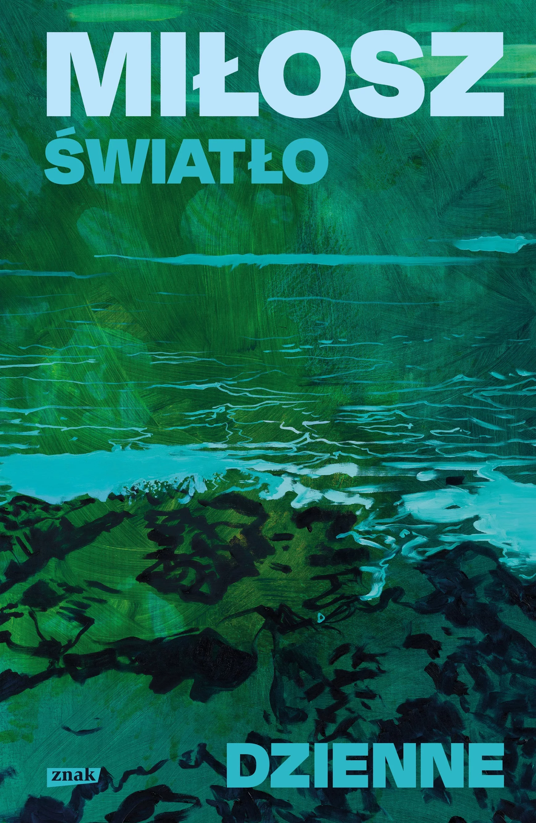 Światło dzienne - Książki