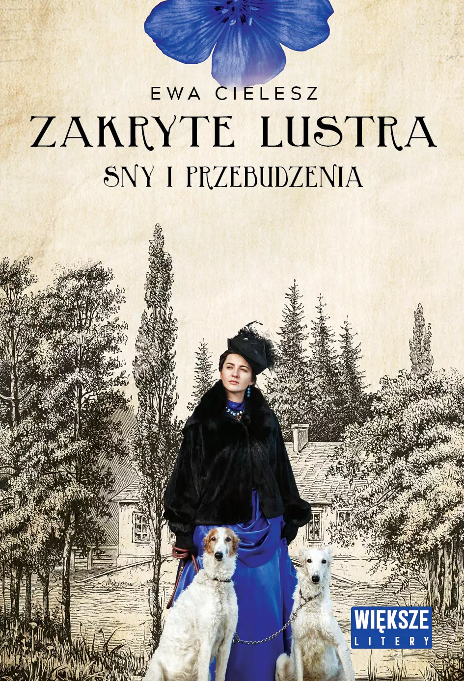 Sny i przebudzenia. Zakryte lustra. Tom 1 (Duże Litery) - Książki
