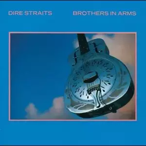 Brothers In Arms (Vinyl) - Muzyka
