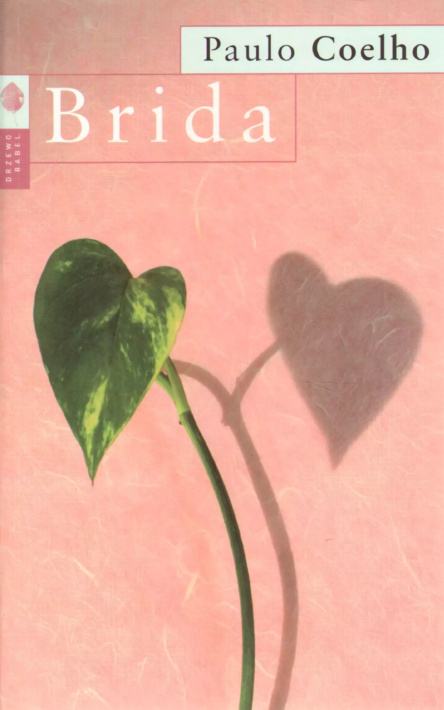 Brida - Książki