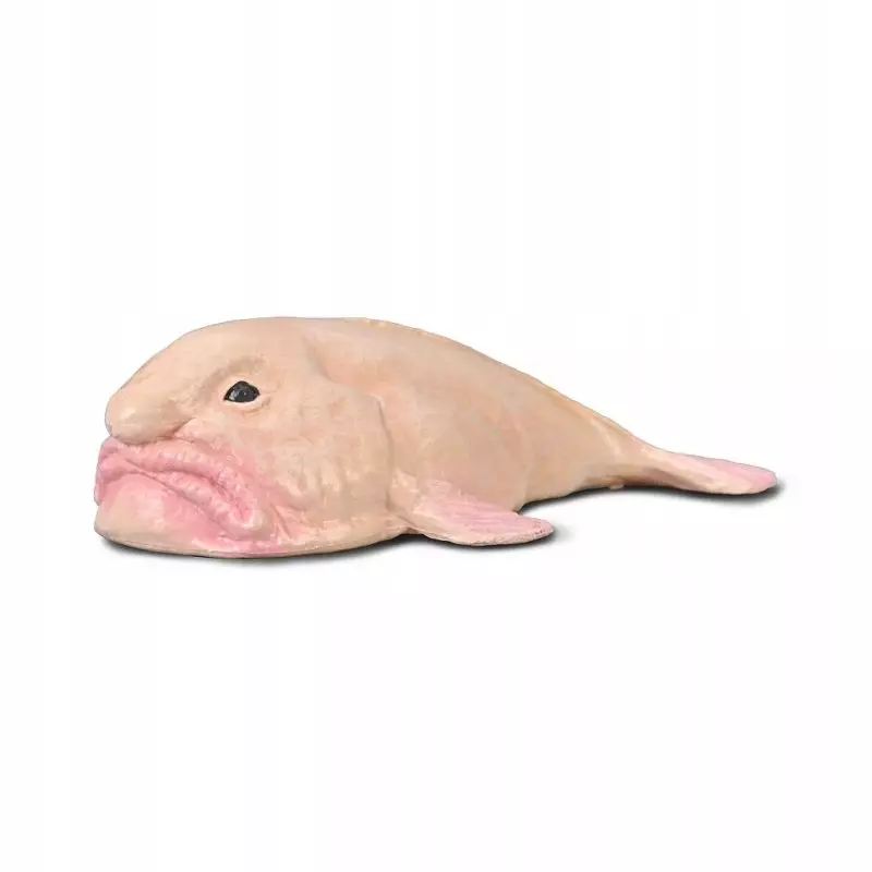 CollectA 80037 - Ryba Blobfish Psychrolutes marcidus - Zabawki