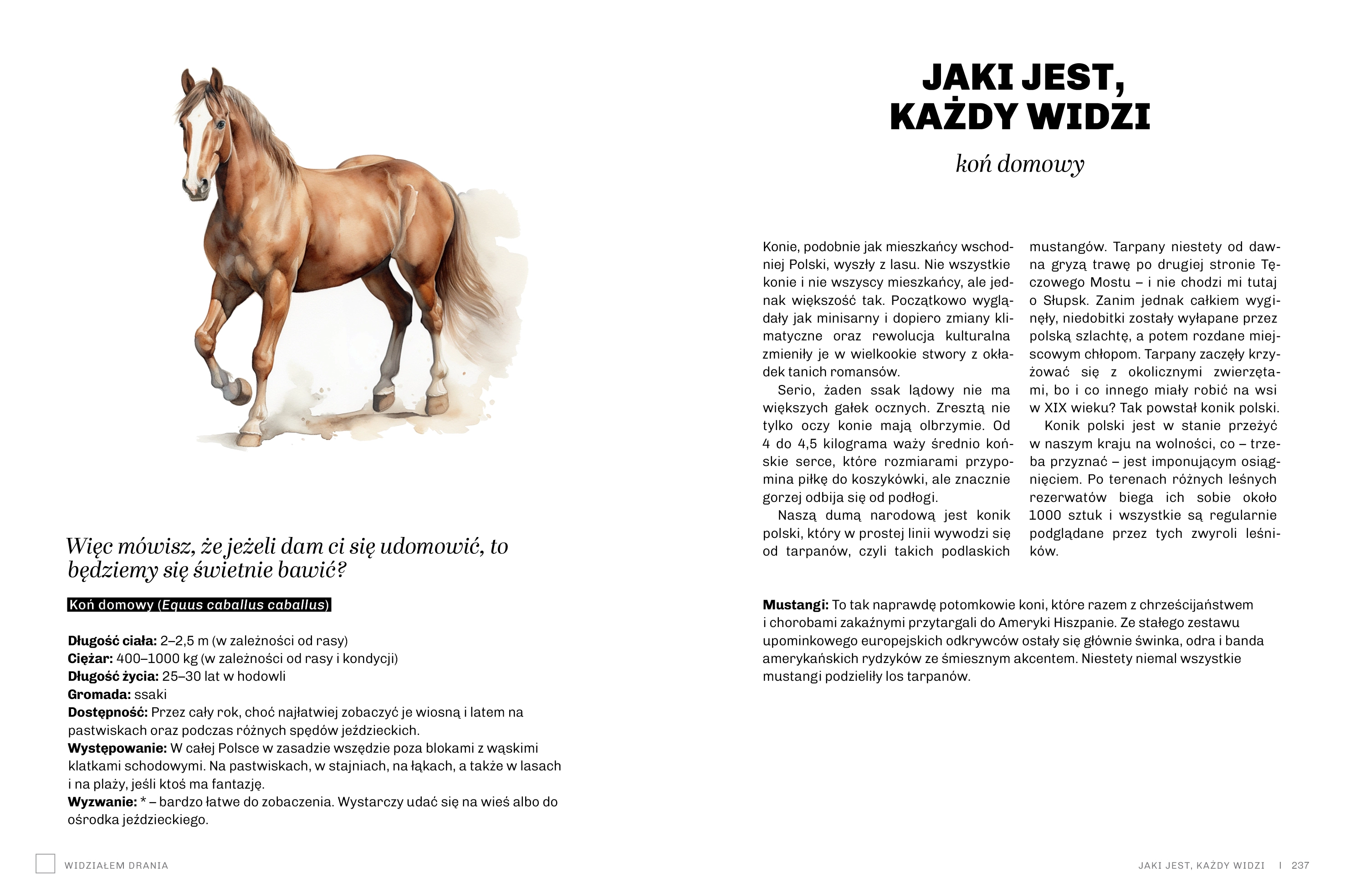 Głupie zwierzęta Polski i jak je znaleźć. Przewodnik świadomego obserwatora - Książki