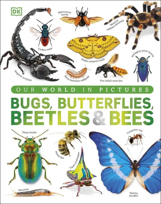Our World in Pictures Bugs, Butterflies, Beetles and Bees - Książki