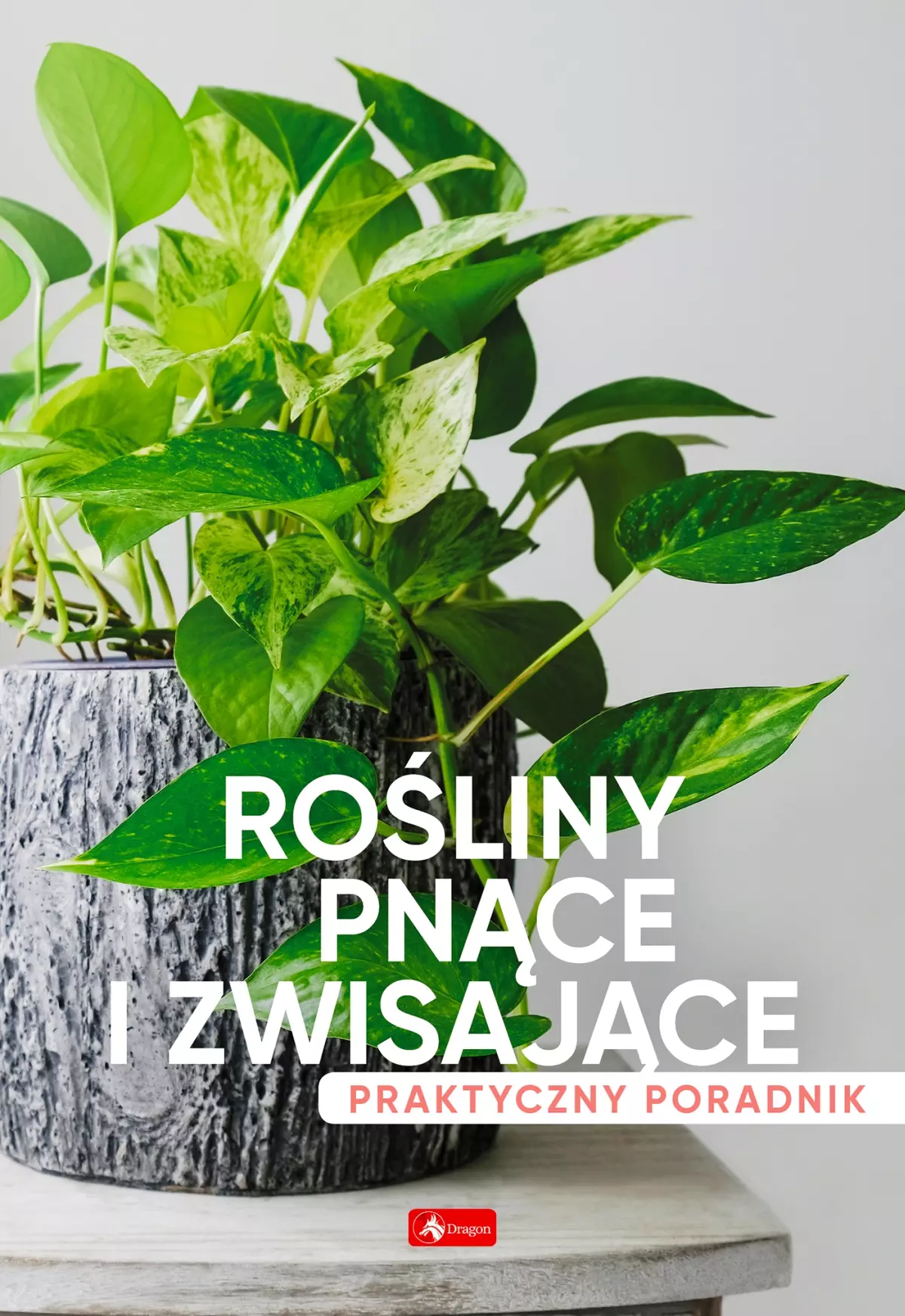 Rośliny pnące i zwisające. Poradnik praktyczny - Książki