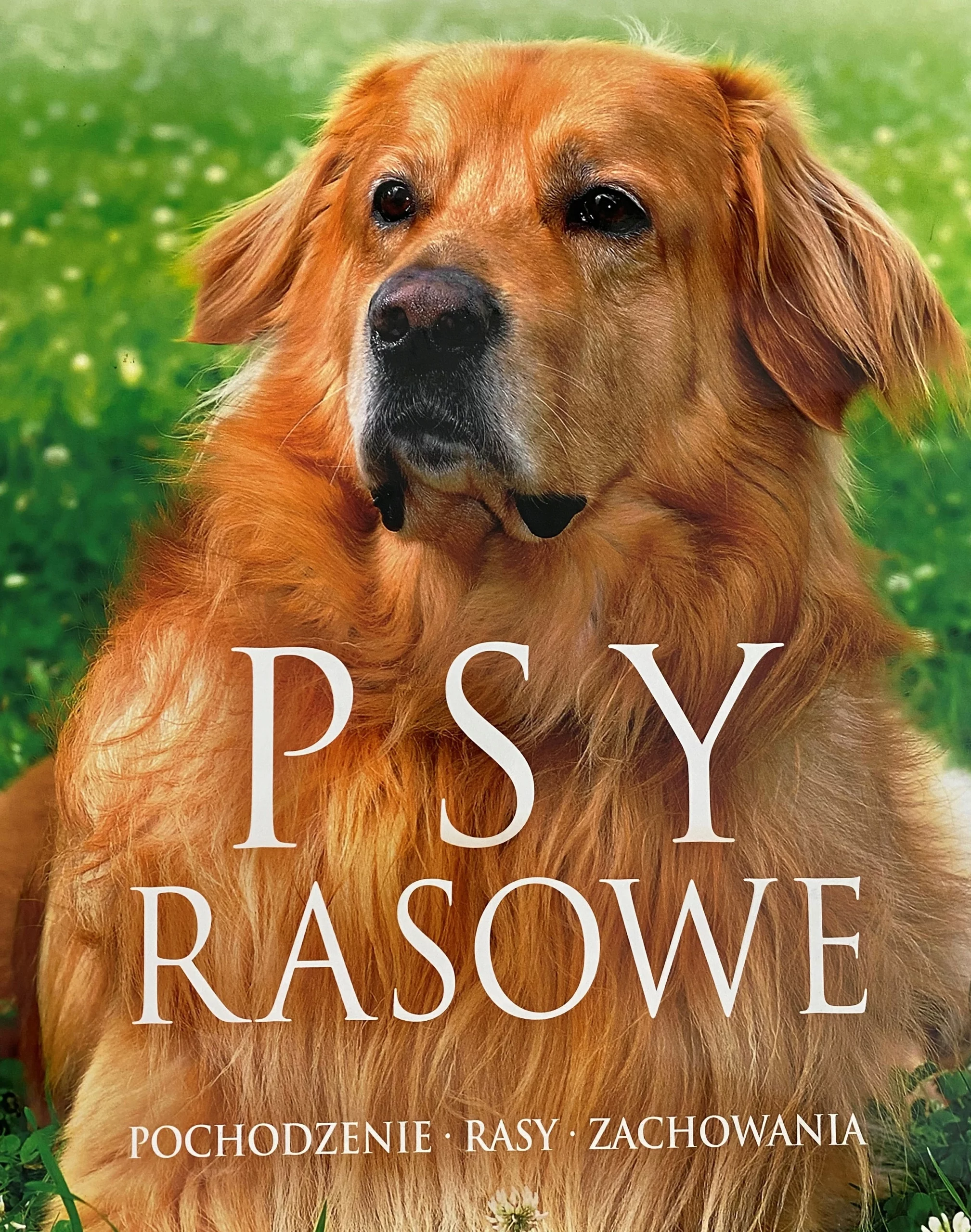 sy rasowe. Pochodzenie, rasy, zachowania - Książki