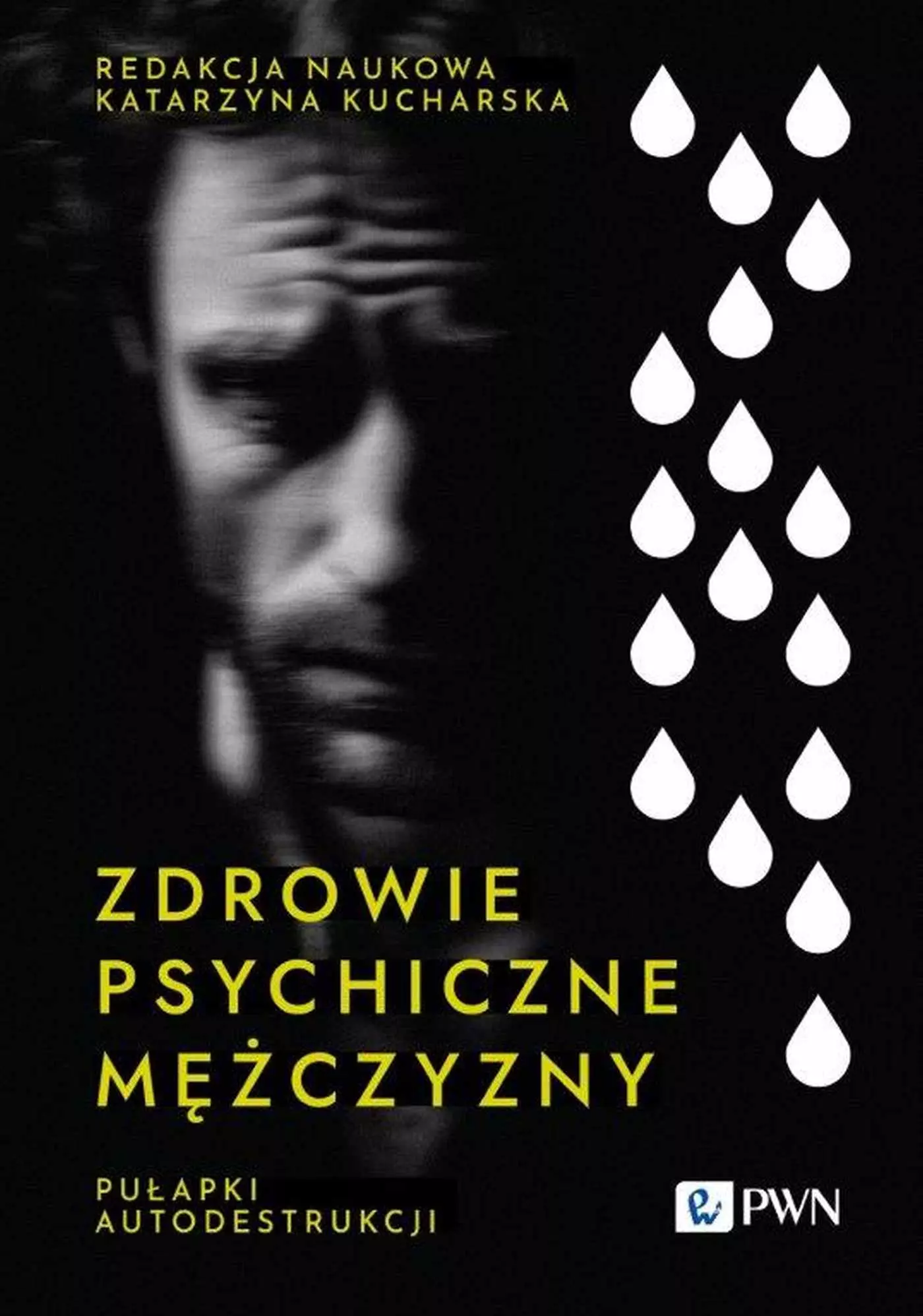 Zdrowie psychiczne mężczyzny. Pułapki autodestrukcji - Książki