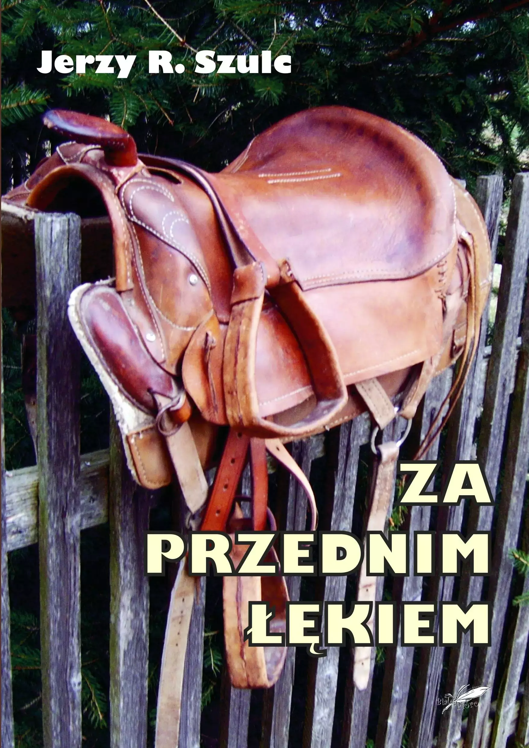 Za przednim łękiem - Książki