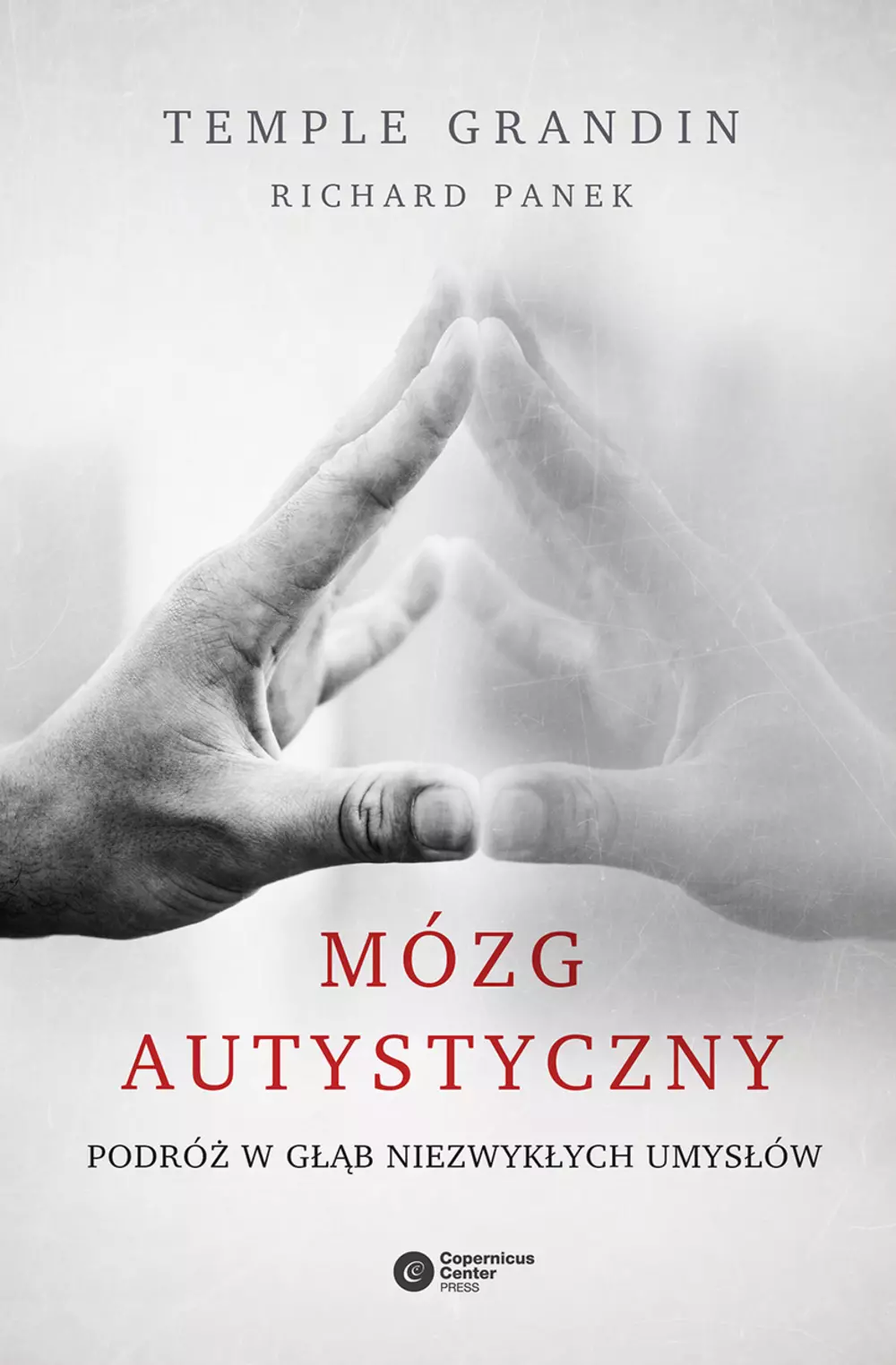 Mózg autystyczny. Podróż w głąb niezwykłych umysłów - Książki