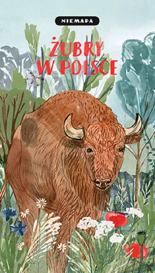 NIEMAPA Żubry w Polsce - Książki