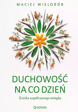 Duchowość na co dzień. Ścieżka współczesnego mistyka - Książki