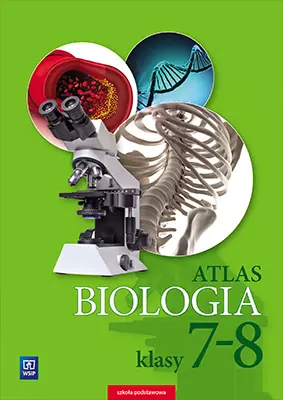 Biologia. Atlas. Klasy 7-8. Szkoła podstawowa - Książki