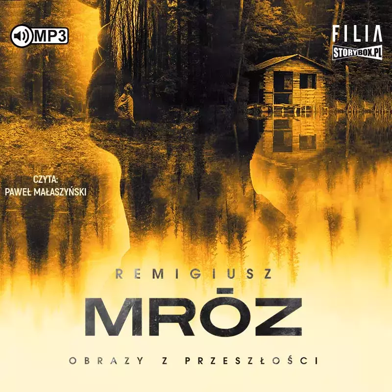 Obrazy z przeszłości. Audiobook - Audiobooki