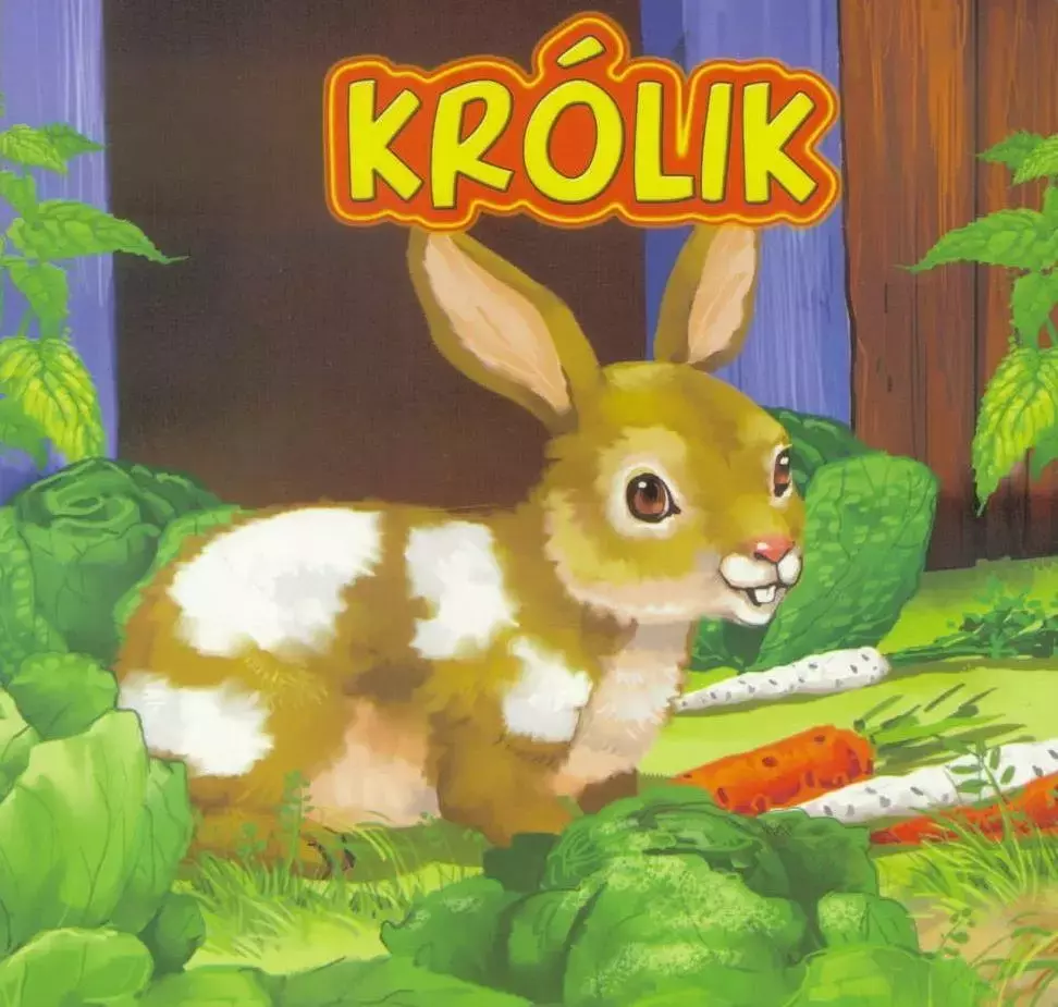Królik - Książki