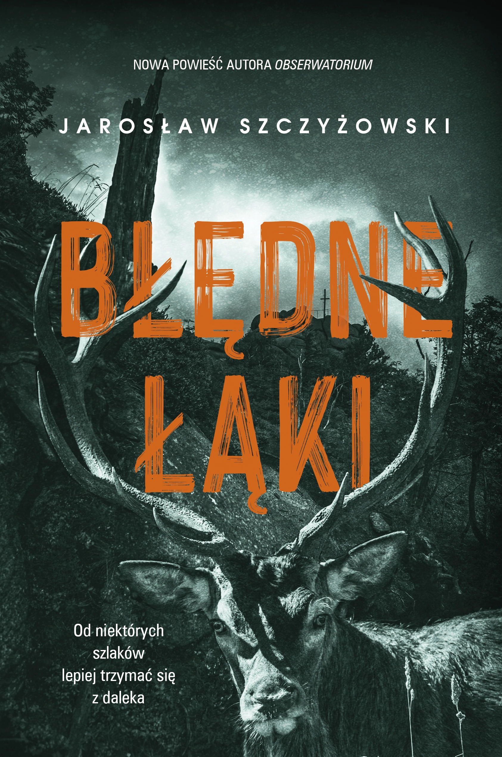 Błędne łąki - Książki