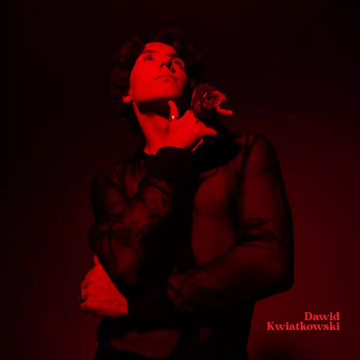 Dawid Kwiatkowski, CD - Muzyka