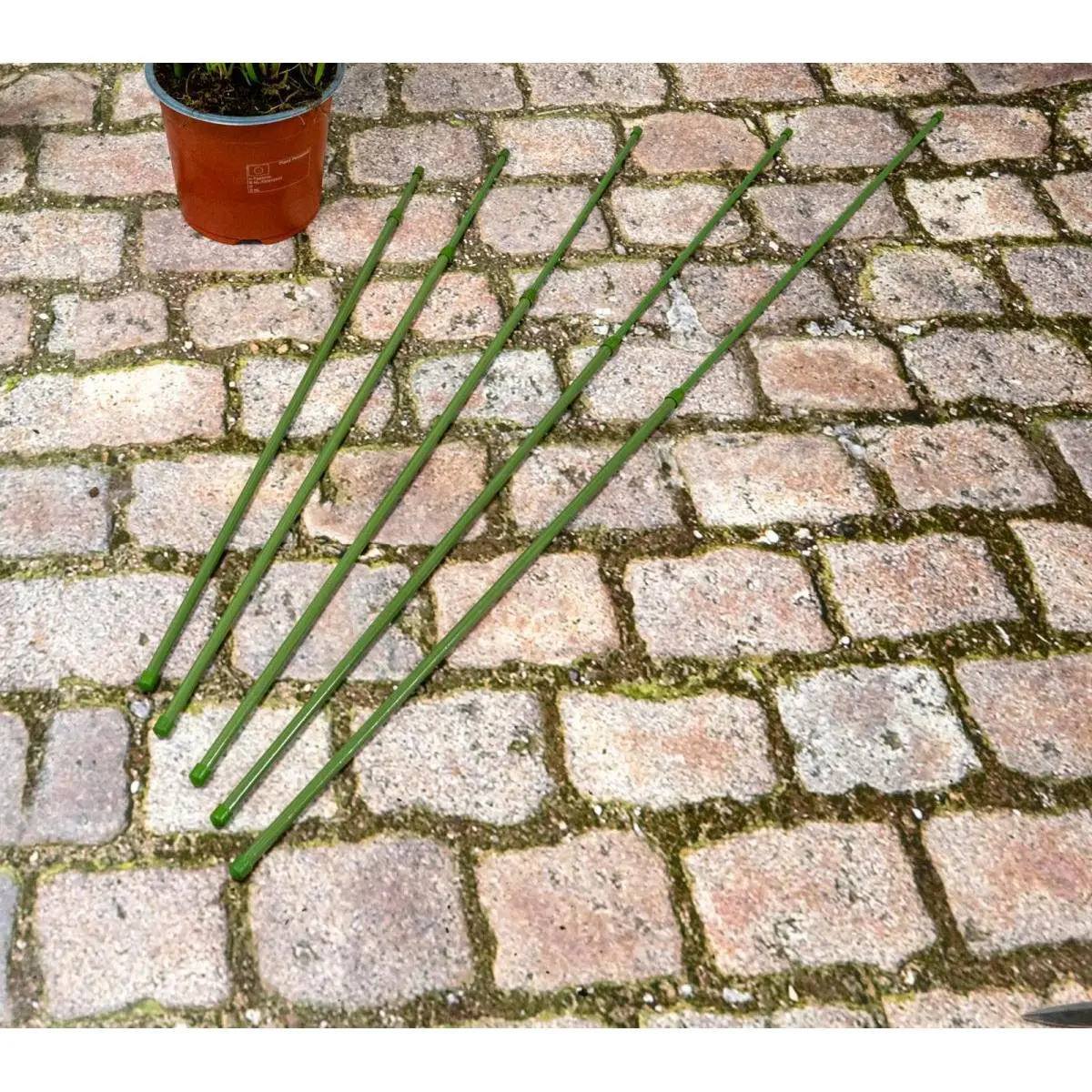 Podpora Tyczka do Roślin 6SZT 50-80CM Kinzo - Elektronika i akcesoria