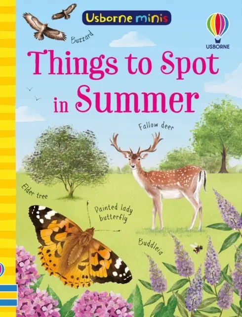 Things to Spot in Summer - Książki