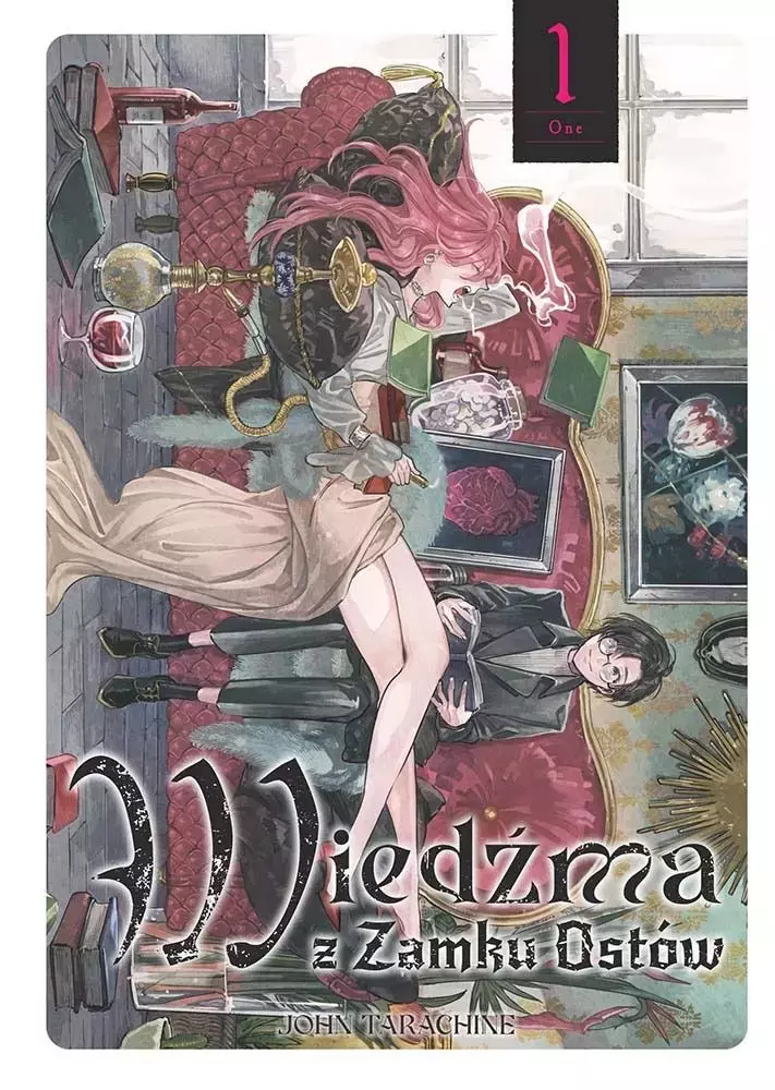 Wiedźma z Zamku Ostów. Tom 1 - Książki
