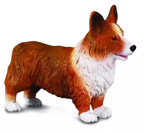 Pies Welsh corgi - Gry