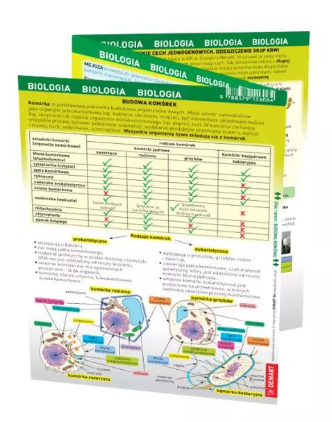 Biologia - maxi ściąga - Książki