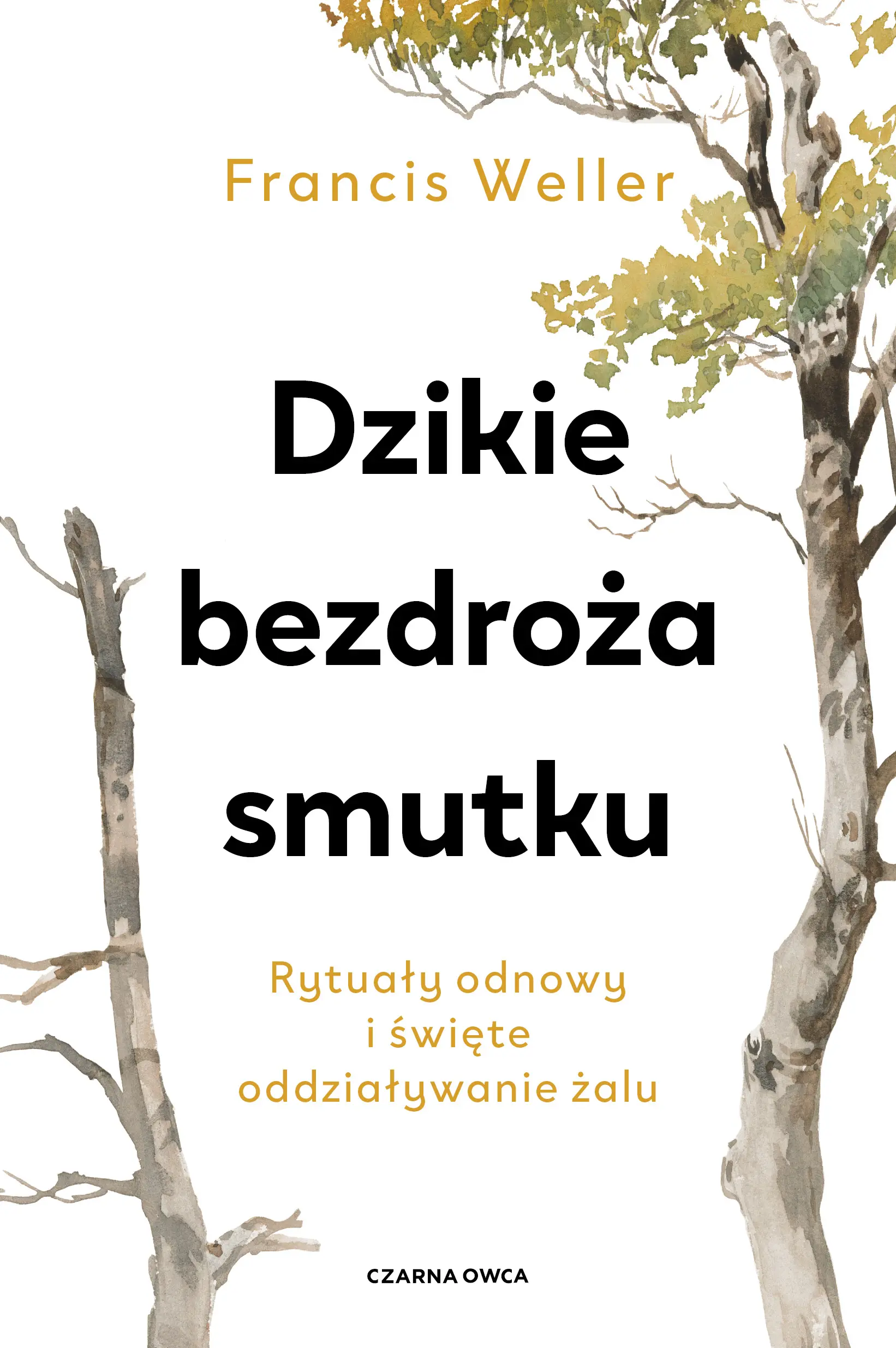 Dzikie bezdroża smutku. Rytuały odnowy i święte oddziaływanie żalu - Książki