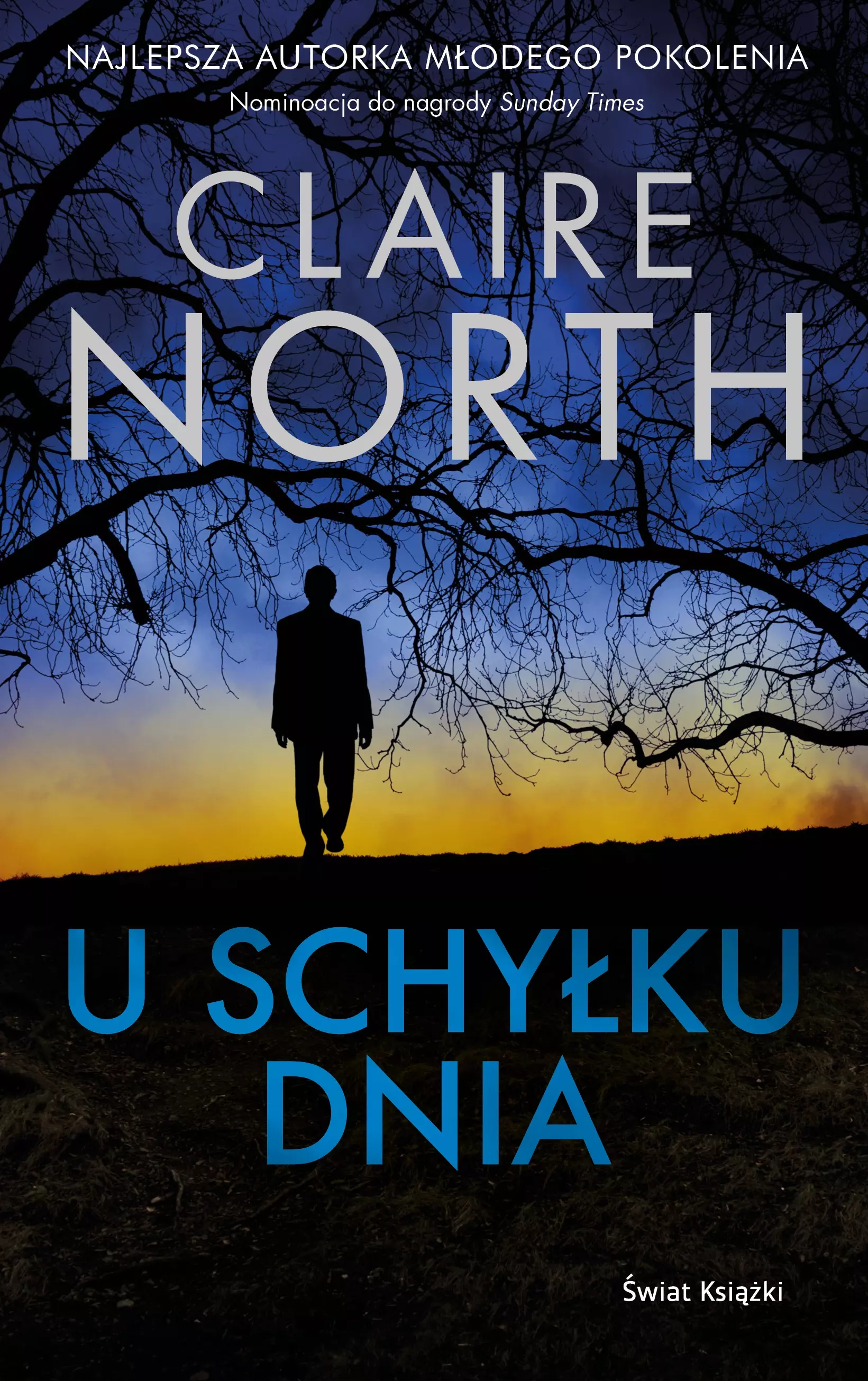 U schyłku dnia - Książki