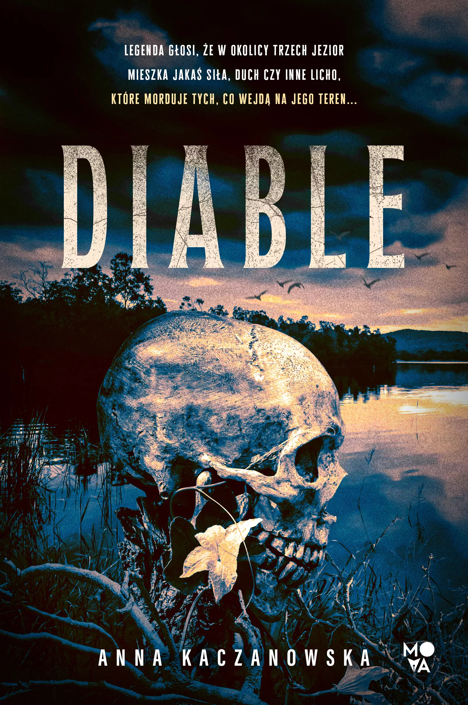 Diable - Książki