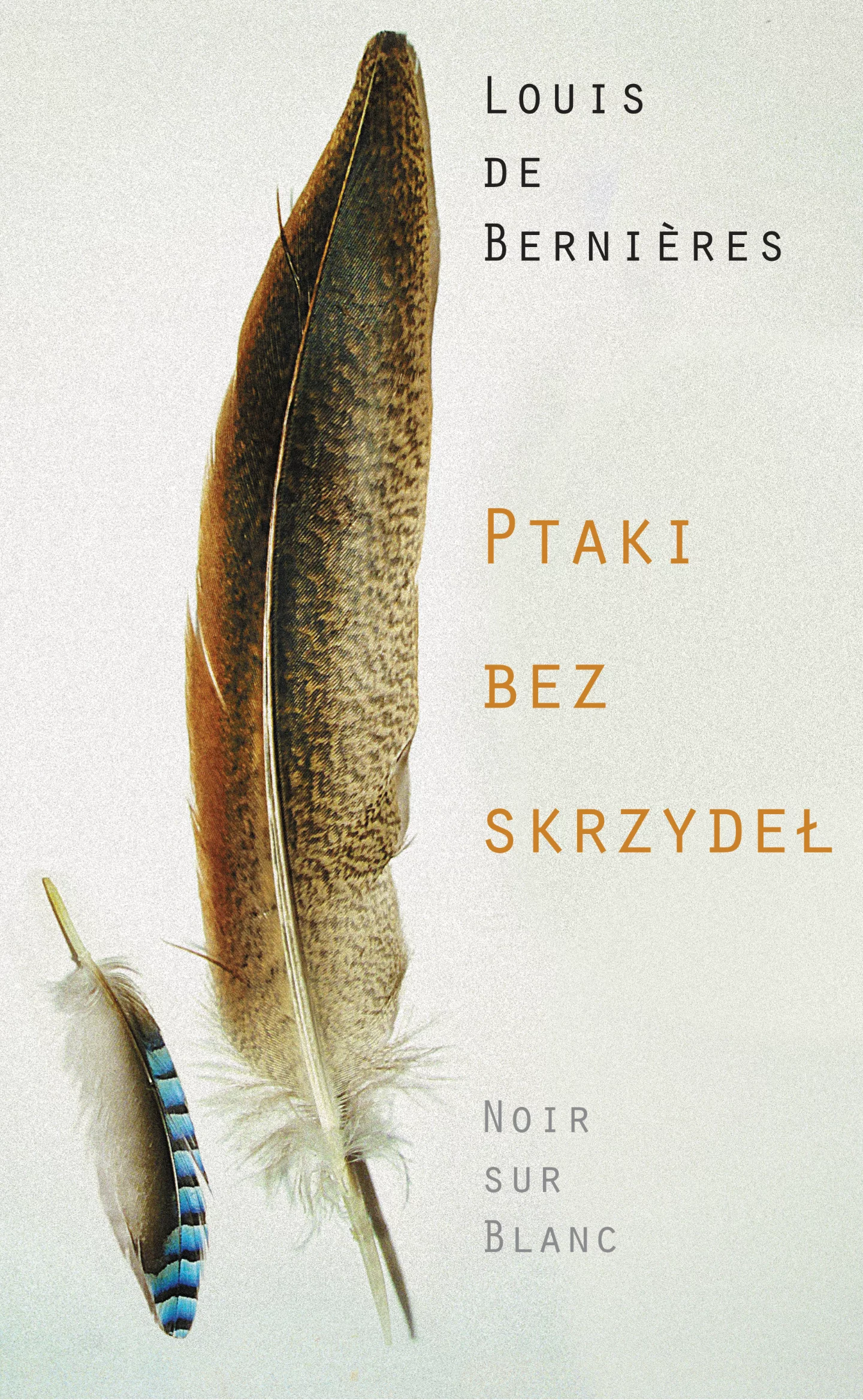 Ptaki bez skrzydeł - Książki