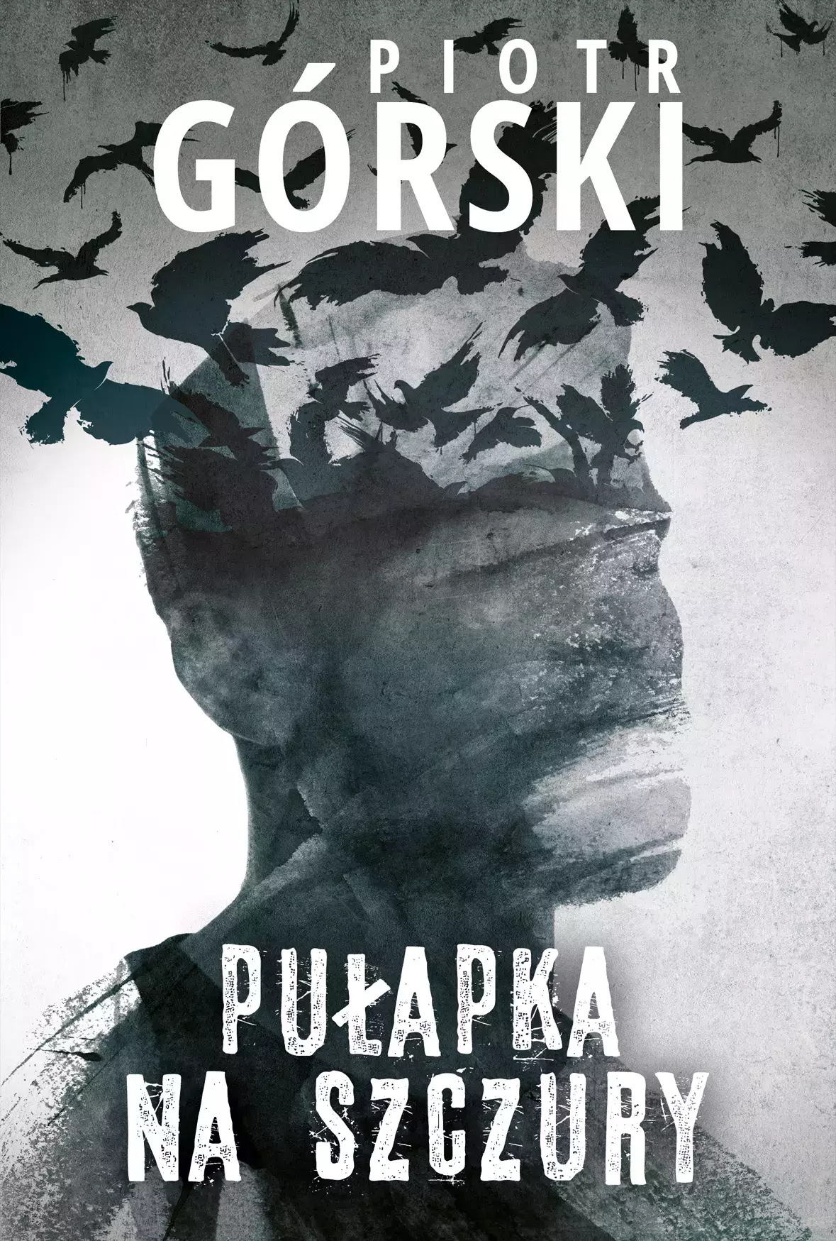 Komisarz Kruk. Tom 7. Pułapka na szczury - Książki