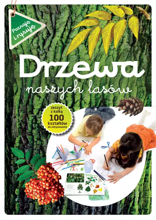 Drzewa naszych lasów - Książki