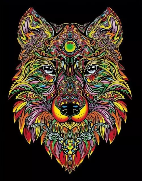 Kolorowanka Welwetowa Colorvelvet 47x35 cm Lupus - Książki