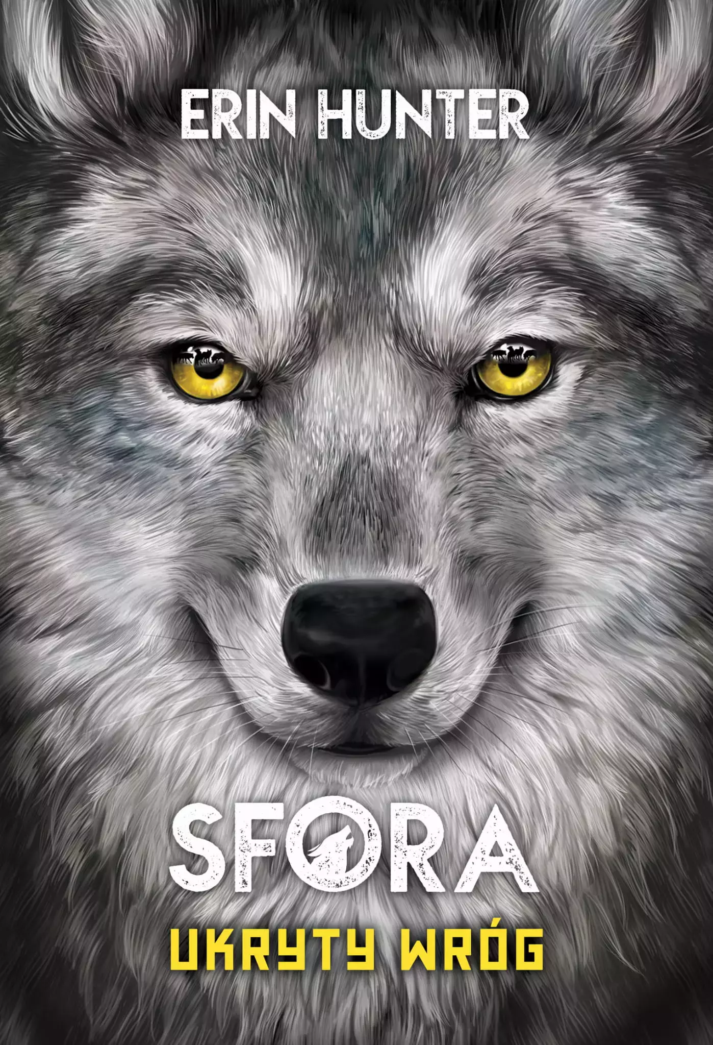 Sfora. Tom 2. Ukryty wróg - Książki