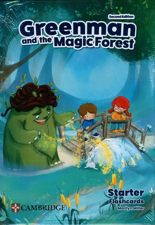 Greenman and the Magic Forest Starter Flashcards - Książki