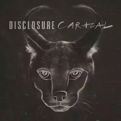 Caracal PL - Muzyka