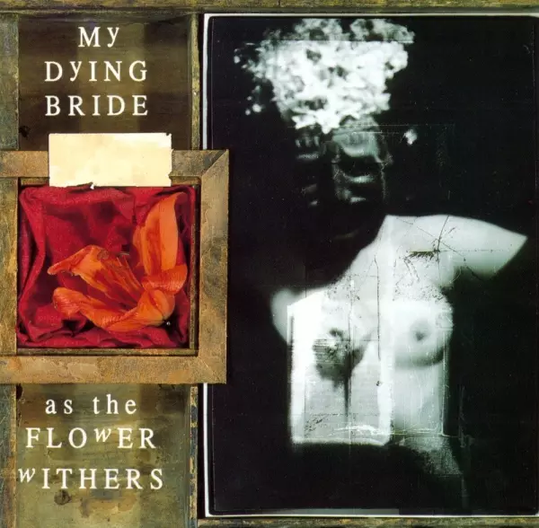 As The Flower Withers. CD - Muzyka