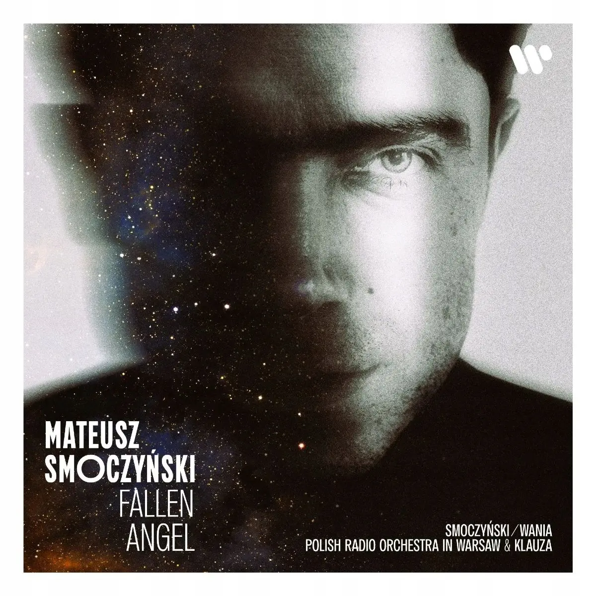 Fallen Angel, Winyl - Muzyka