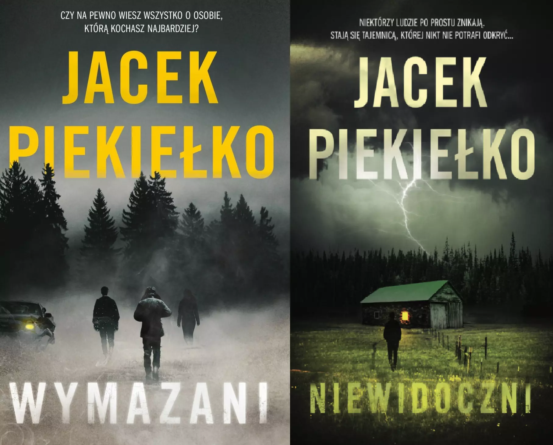 Pakiet pełen mrocznych tajemnic. Wymazani. Niewidoczni - Książki