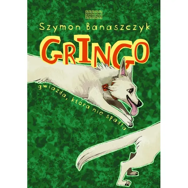 Gringo. Gwiazda, która nie spadła - Książki