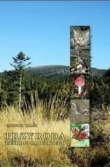 Przyroda Beskidu Sądeckiego TW - Książki