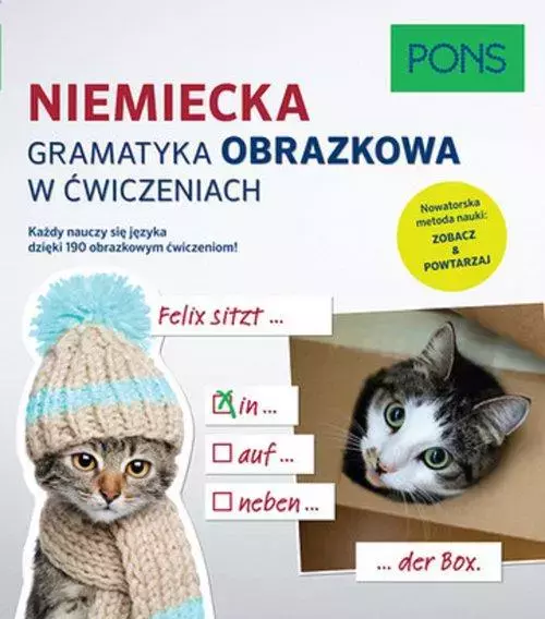 Niemiecka gramatyka obrazkowa w ćwiczeniach - Książki
