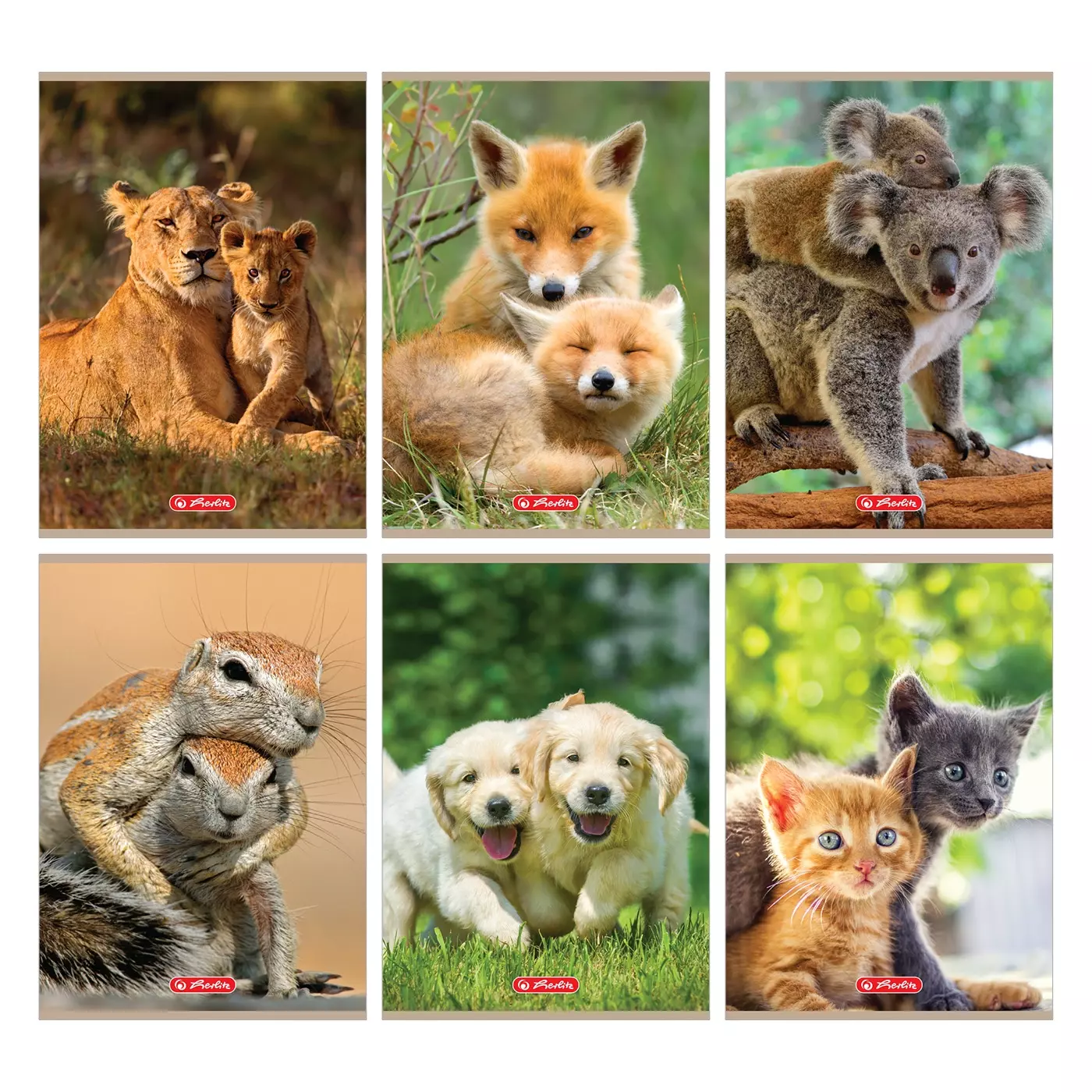 Zeszyt A5 32 kartki w kratkę Animals, mix wzorów - Papiernicze i szkolne
