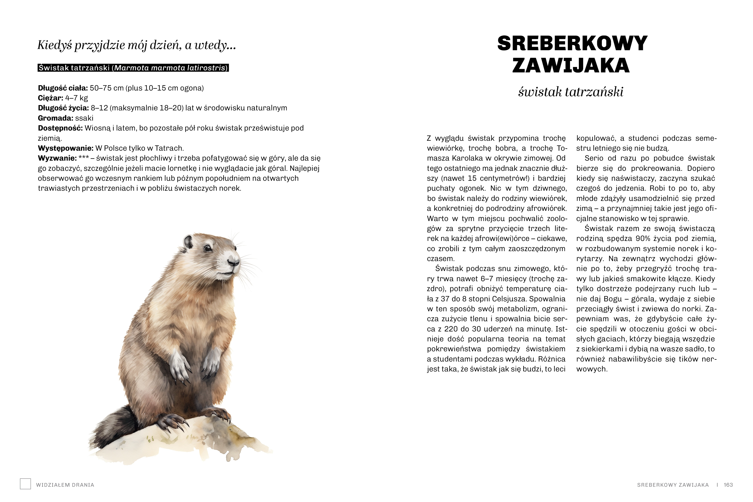 Głupie zwierzęta Polski i jak je znaleźć. Przewodnik świadomego obserwatora - Książki