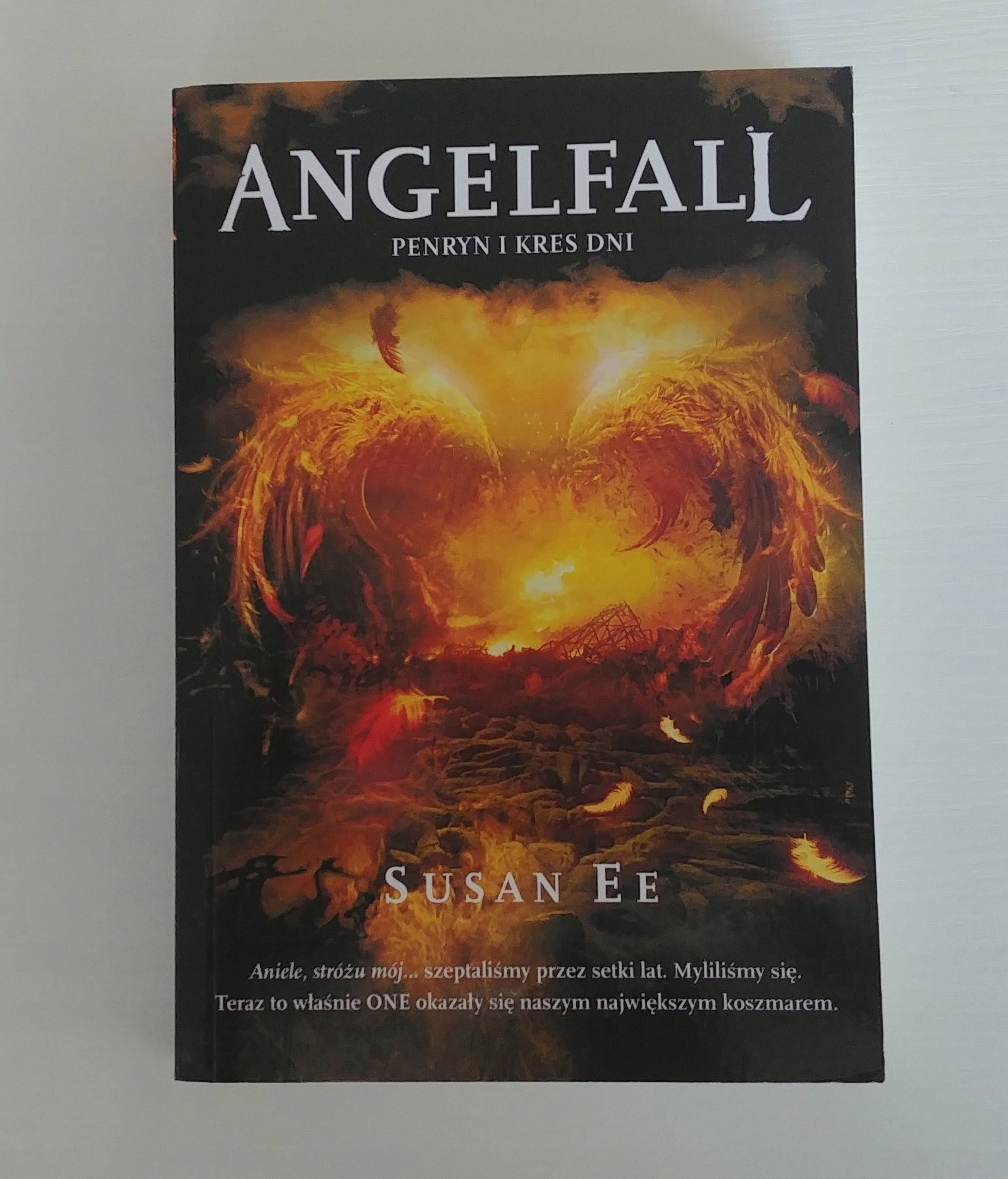 Angelfall Penryn i kres dni - Książki