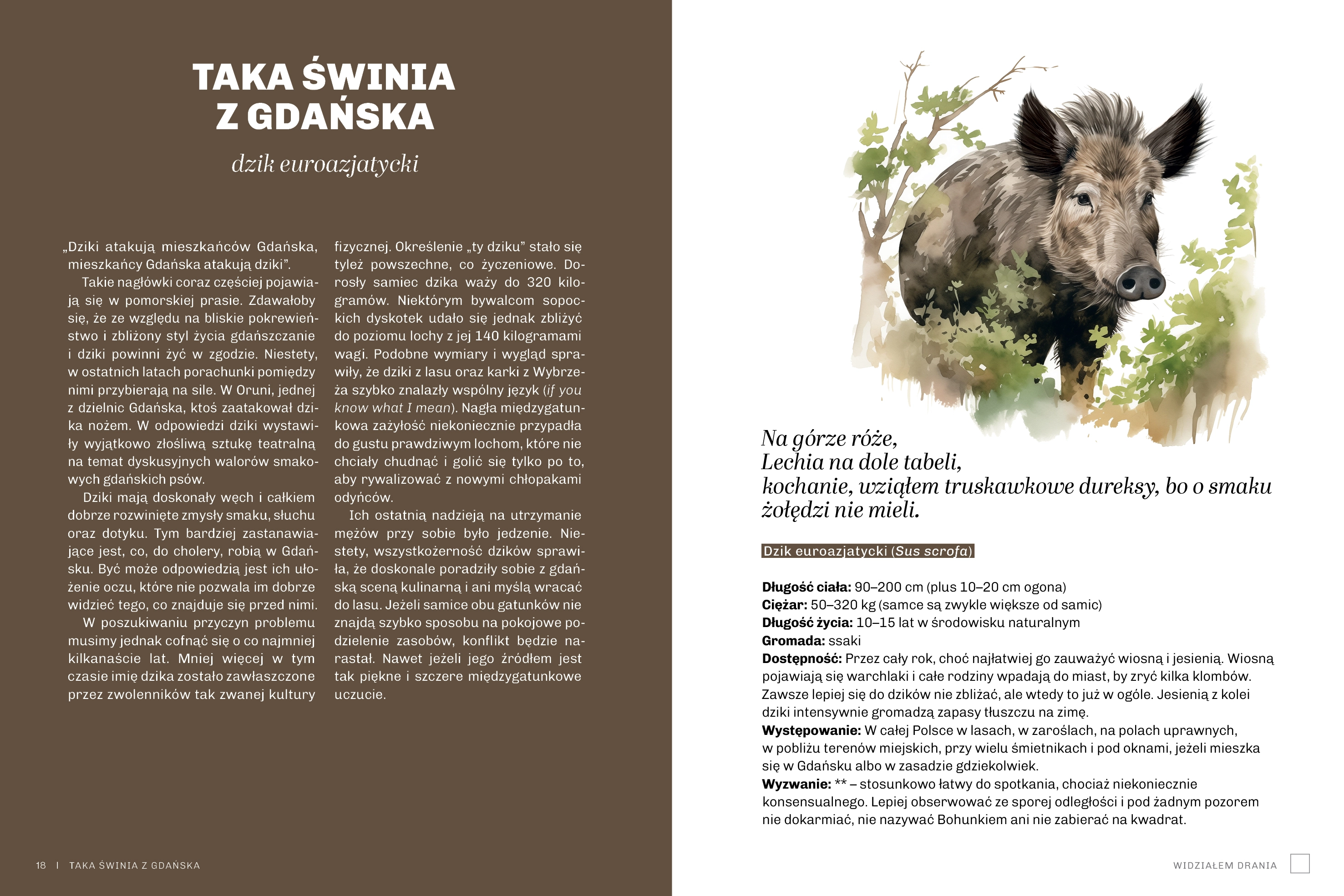 Głupie zwierzęta Polski i jak je znaleźć. Przewodnik świadomego obserwatora - Książki