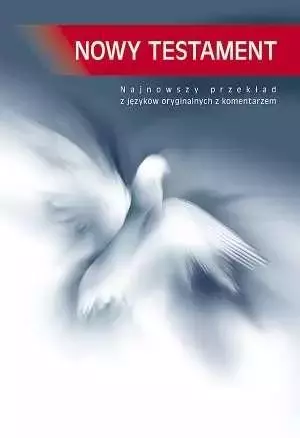 Nowy Testament - duży TW - Książki
