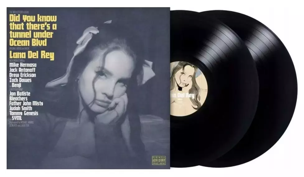 Did you know that there's a tunnel under Ocean Blvd, 2 LP - Muzyka